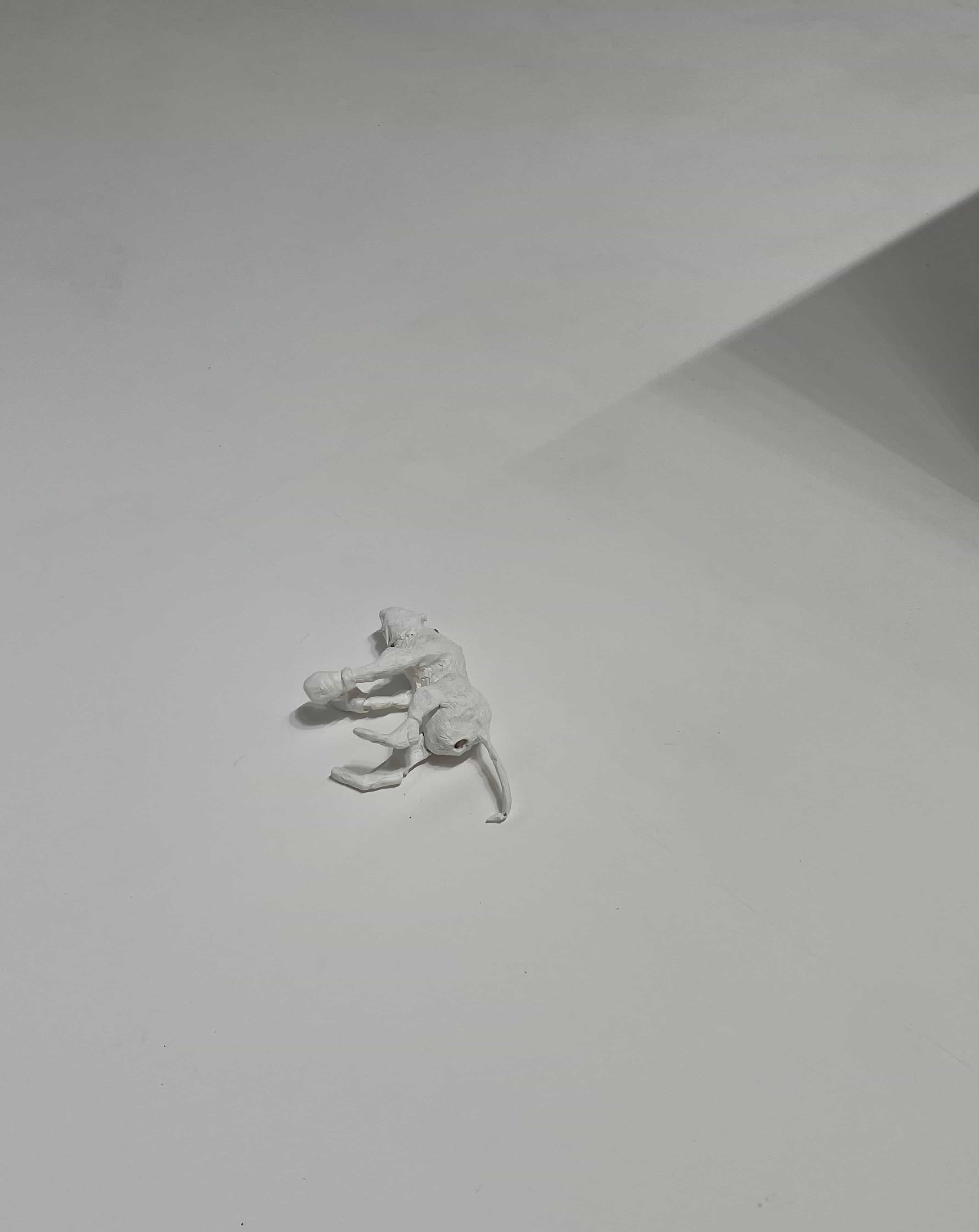 The rat that lost- landlord edition